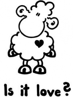 Other Wallpapers 0815